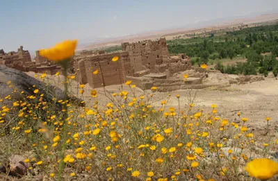 Ancient Amazigh fortified earthen buildings of Tikirt in southern Morocco