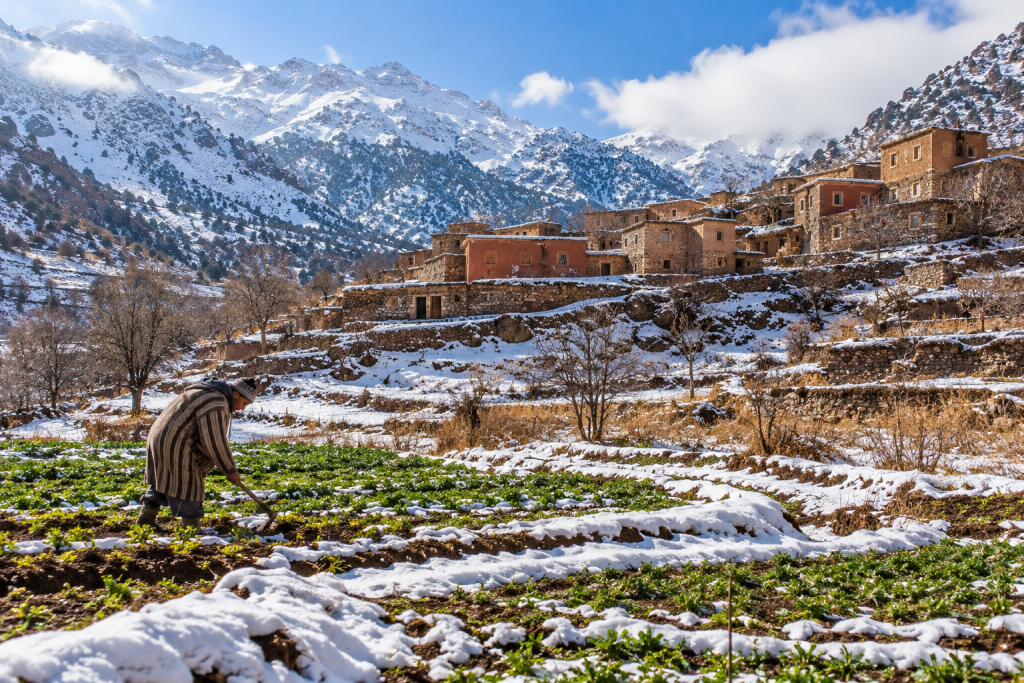 Amazigh agricultural landscape connected with seasonal traditions