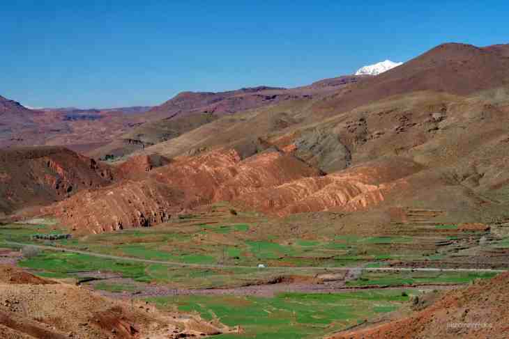 Moroccan oasis landscape connected to Amazigh heritage