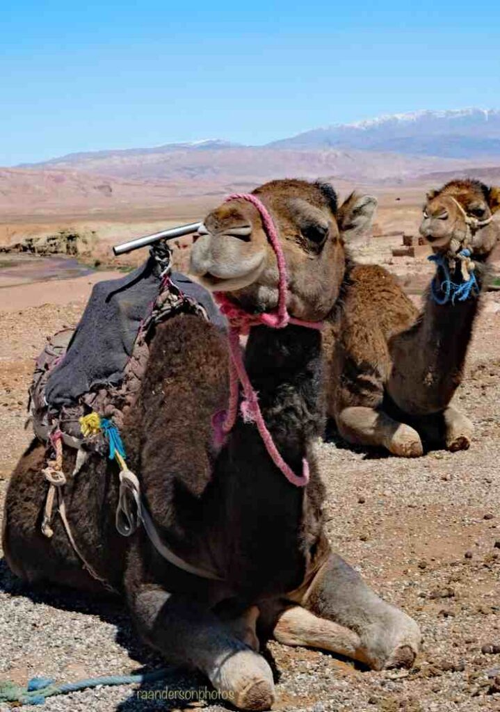 Amazigh crafts and traditional jewelry in Morocco