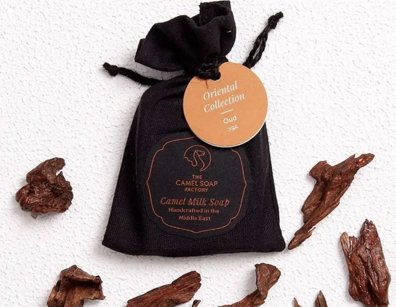 Camel Milk Castille Soap - Image 5