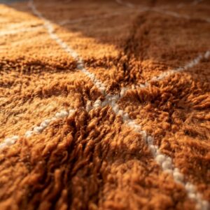 Berber Terracotta Beni Ourain Rug
