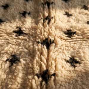 Berber Hand Knotted Rug