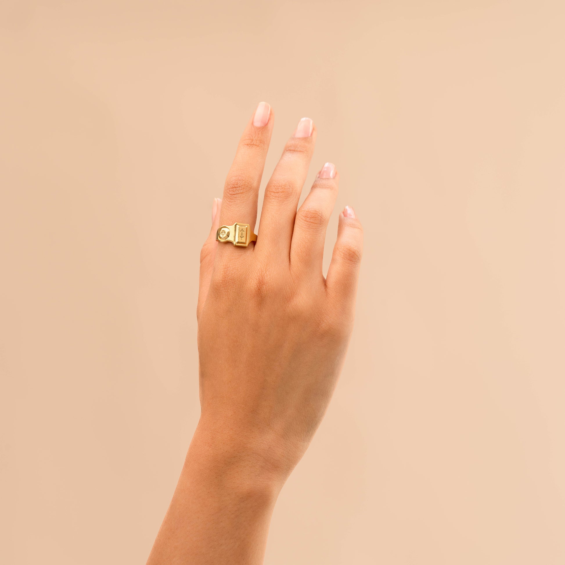Fleurs de Figuier de Barbarie Ring - Amazigh Geometric Jewelry