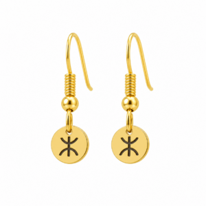 Amazigh Engraved Yaz Symbol Stainless Steel Earrings for Everyday Heritage Style Use