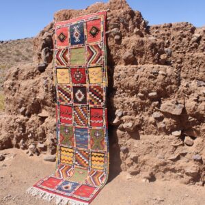 Amazigh Handmade Colorful Wool Runner Rug Hallway Carpet