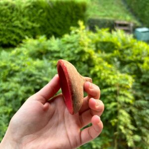 Amazigh Aker Fassi Natural Red Lip Tint Clay Bowl