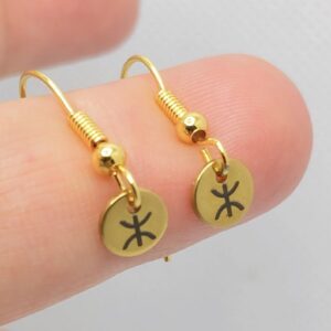 Amazigh Engraved Yaz Symbol Stainless Steel Earrings for Everyday Heritage Style Use