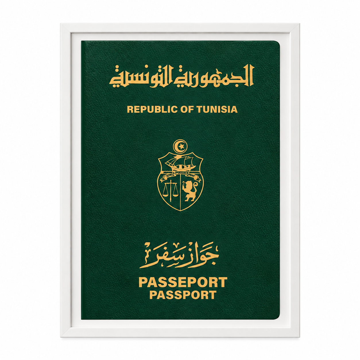 Amazigh Berber Tunisian Passport Art Print Digital Download