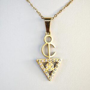 Amazigh Berber Tizerzit Fibula Inspired Stainless Steel Necklace