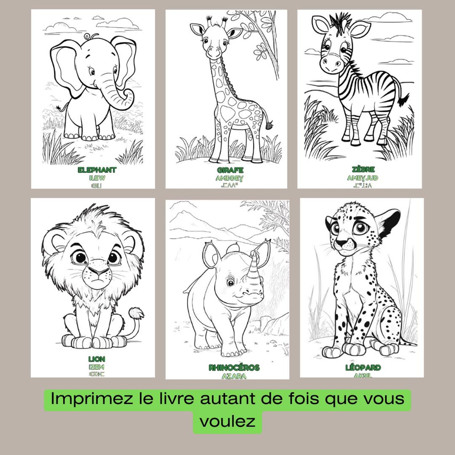 Amazigh Kabyle Tifinagh Animal Coloring Book PDF for Children
