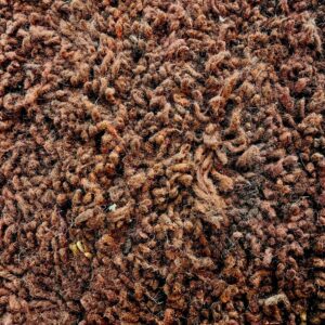 Amazigh Chocolate Brown Minimalist Handwoven Wool Rug Custom Design