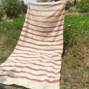 Berber Amazigh Akhnif Kilim Rug with Tribal Taznakht Design