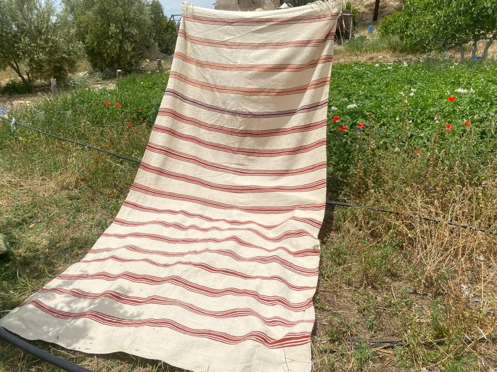 Berber Amazigh Akhnif Kilim Rug with Tribal Taznakht Design
