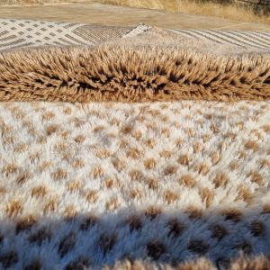 Colorful Berber Beni Ourain Wool Rug Handmade Atlas Style