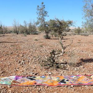 Berber Boujad Beni Ourain Azilal Wool Abstract Runner Rug