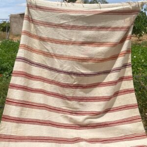 Berber Amazigh Akhnif Kilim Rug with Tribal Taznakht Design