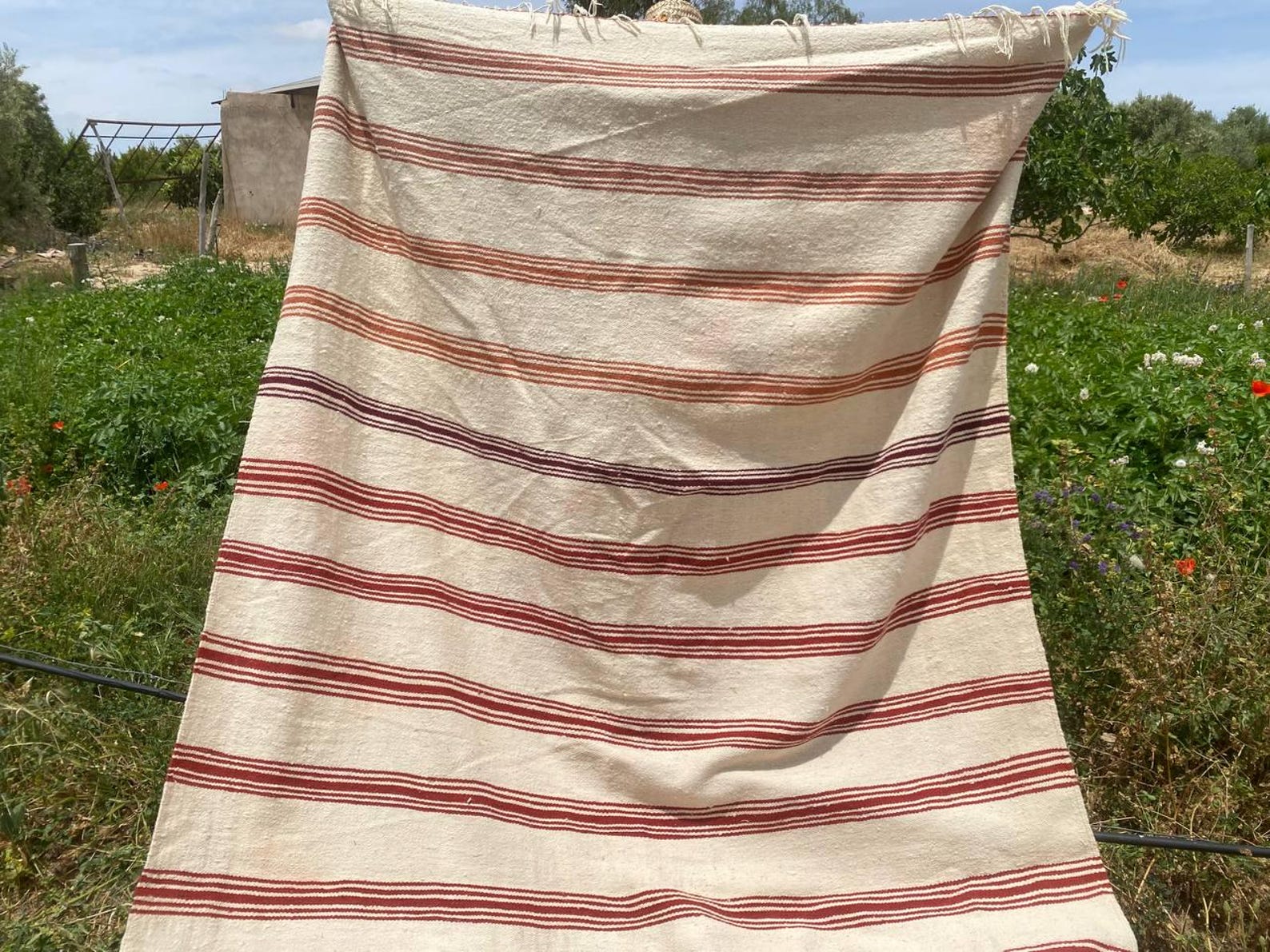 Berber Amazigh Akhnif Kilim Rug with Tribal Taznakht Design