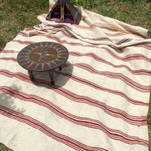 Berber Amazigh Akhnif Kilim Rug with Tribal Taznakht Design