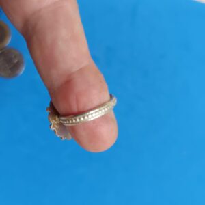 Berber Kabyle Corail Silver Vintage Ring with Coral Design