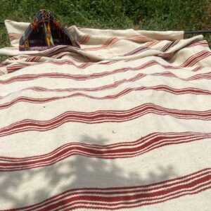 Berber Amazigh Akhnif Kilim Rug with Tribal Taznakht Design