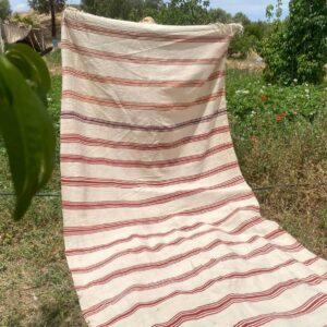 Berber Amazigh Akhnif Kilim Rug with Tribal Taznakht Design