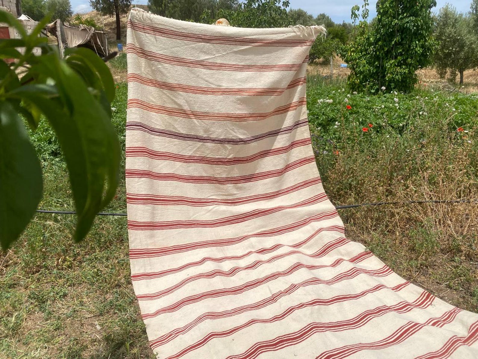 Berber Amazigh Akhnif Kilim Rug with Tribal Taznakht Design