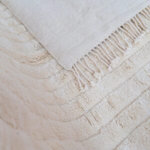 Amazigh Beni Mrirt Wool Rug Hand Knotted Ivory Minimalist Area Rug