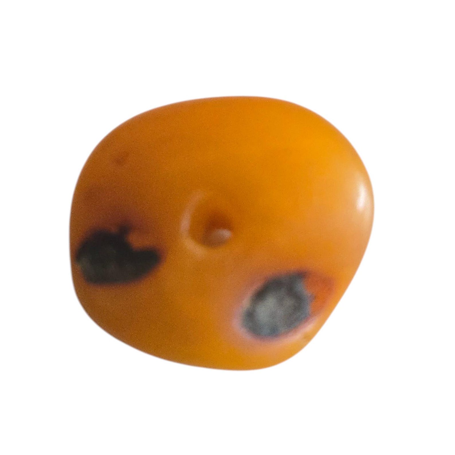 Amazigh Berber Natural Amber Bead Jewelry Supply Collectible Vintage